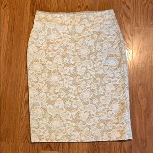 Banana Republic Pencil Skirt Size 4 (Fits 2)
